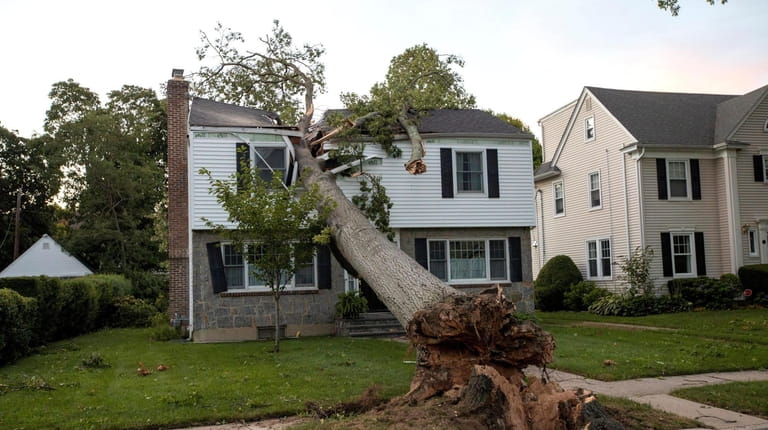 A tree splits the upper level of this Garden Street home on Aug....