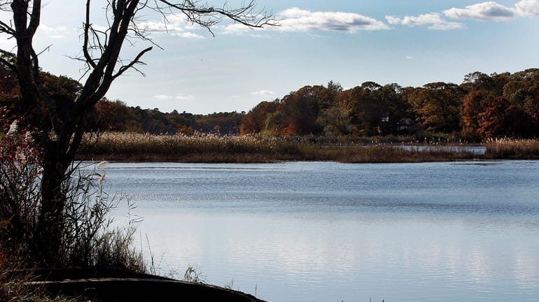 The Peconic River looking east toward Edwards Avenue in Calverton, shown...