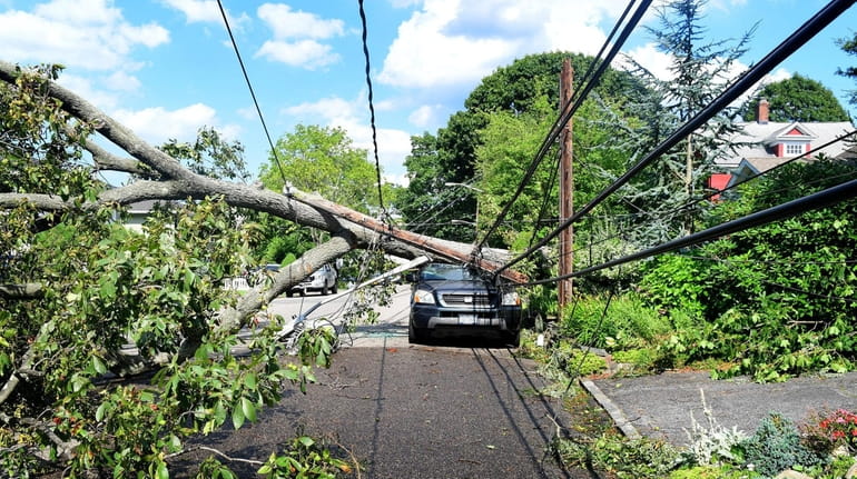 A fallen tree snapped a utility pole in Huntington during Tropical Storm...