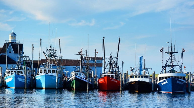 Commercial fishing boats like these at Montauk Harbor will have...
