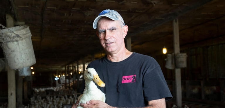 Douglas Corwin of Cresent Duck Farm in Aquebogue said the...