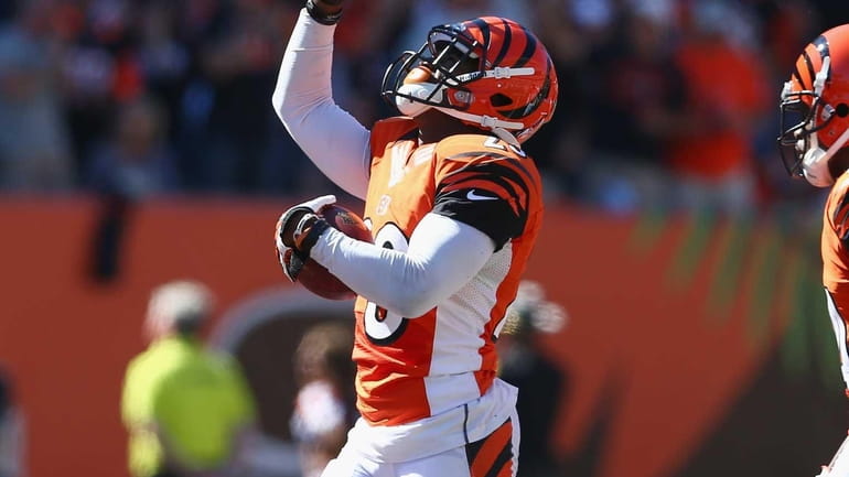 Terence Newman of the Cincinnati Bengals celebrates after intercepting a...