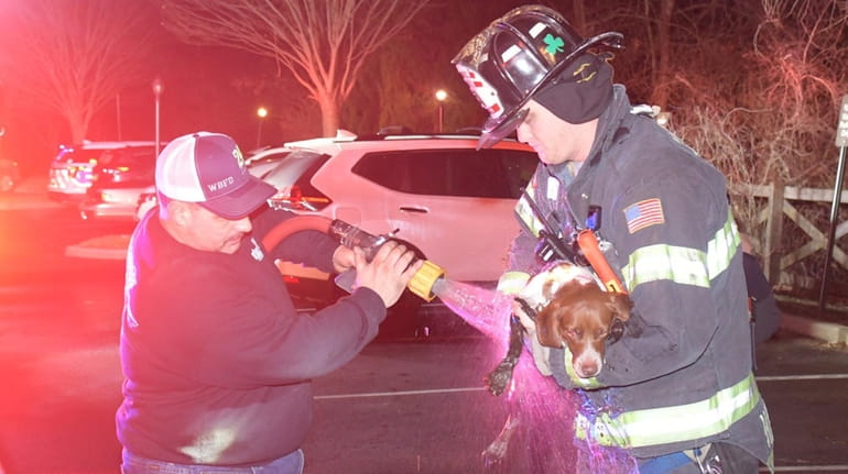 The West Babylon Fire Department rescued a dog stuck in the...