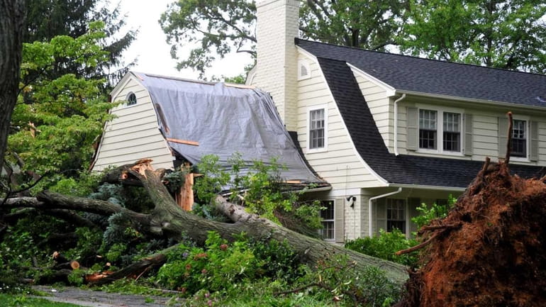 A tree fell on a Garden City house during Tropical...