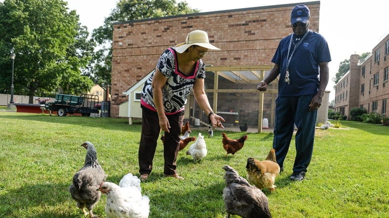 Monica Yepez, left, and Jesse Bell feed the chickens at...
