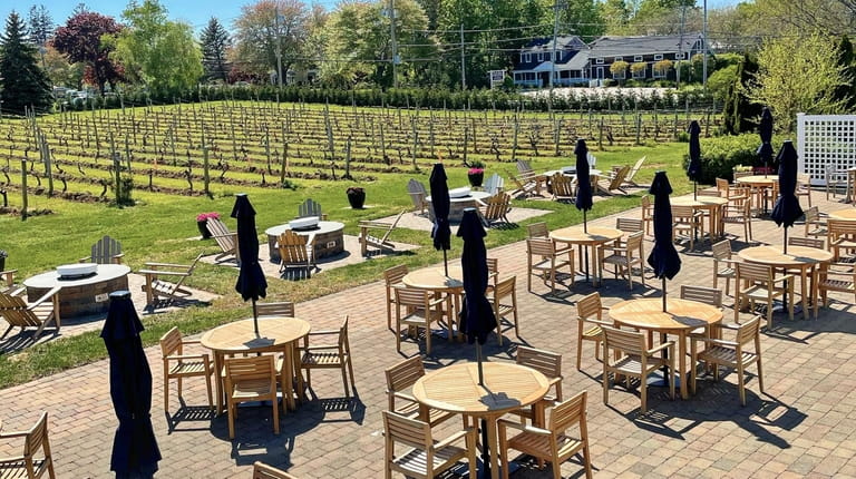 The outside patio and vineyard rows at Peconic Bay Vineyard...