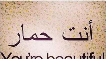 Instead of translating to "you're beautiful," the Arabic text means...