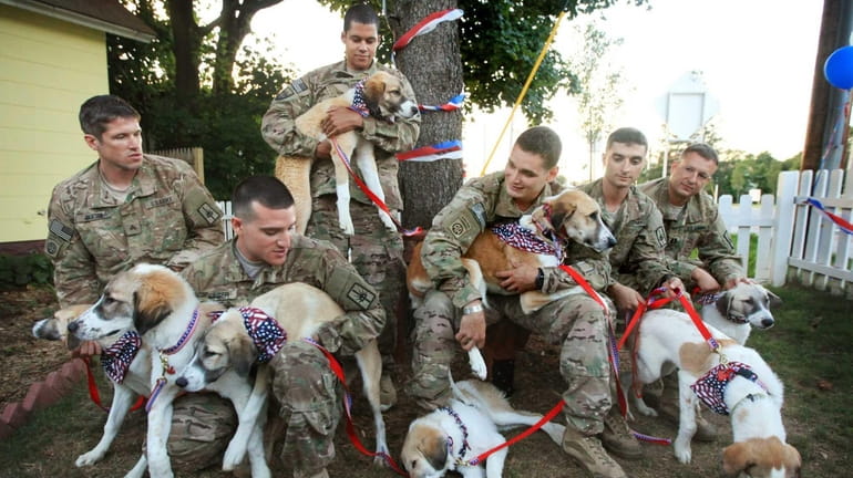 New York National Guard members and their battle buddies from...