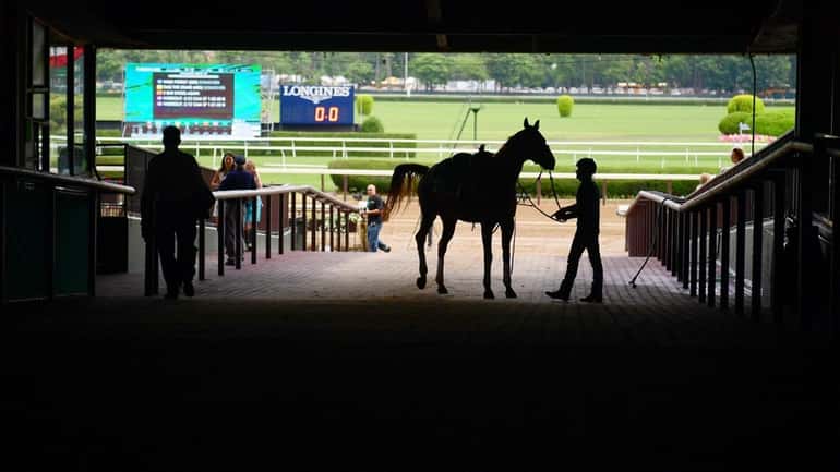 Horses are silhouetted in the tunnel at Belmont Park in...