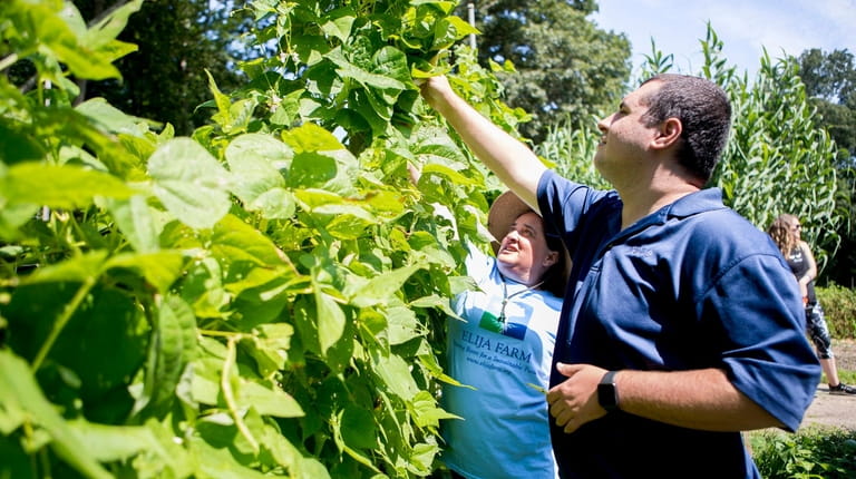 ELIJA Farm in South Huntington employs young adults with autism to work...