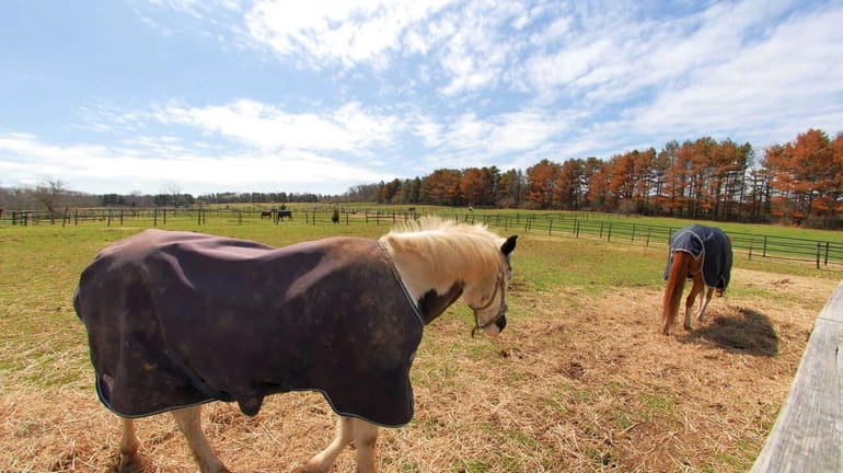 Hampshire Farms, an equestrian center on almost 70 acres in...