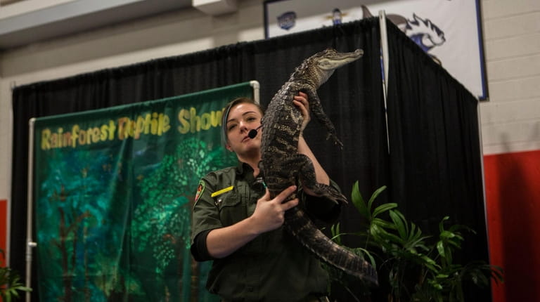 The Rainforest Reptile Show at the 2018 Pet Expo..