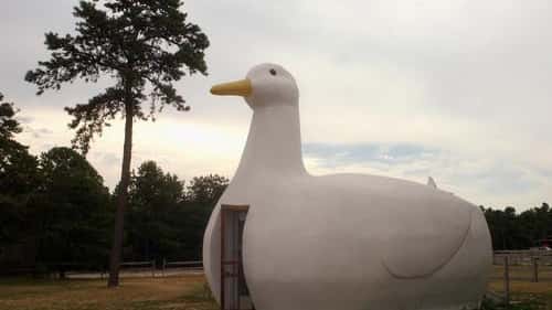 The Long Island Duck sits on Rte. 24 in Flanders.
