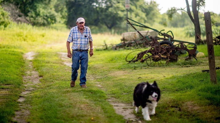 Ron Bush walks with Cowgirl at his farm in South...