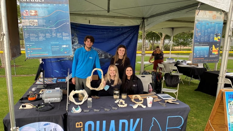 Staffers from the Shark Lab at California State University, Long...