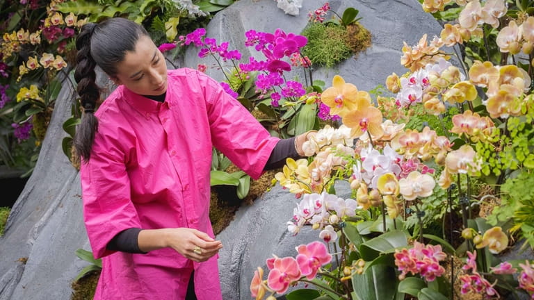 Explore the gardens and flora at the annual Orchid Show:...