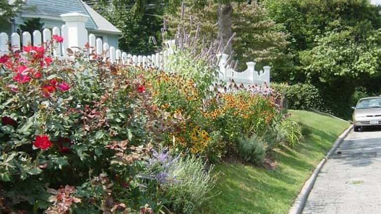 Perennial border on the street side of the fence in...