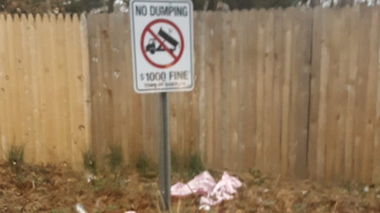 Trash is littered by a No Dumping sign, displaying a...