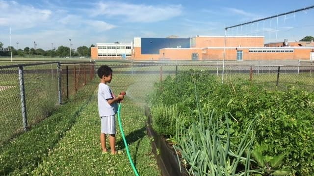 Students from the Baldwin School District tend to the gardens...