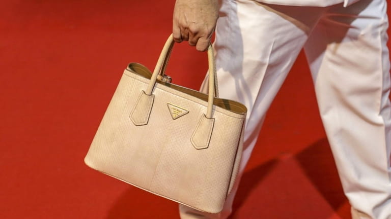 This Prada bag is among the items that can find...
