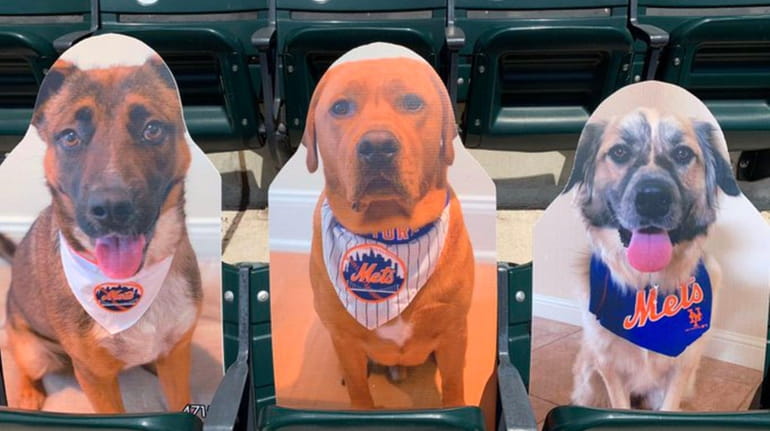 Cardboard cutouts of Kali Conforto, Griffey Conforto and Willow McNeil, the dogs...