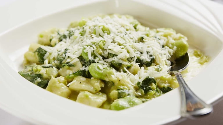 Cavetelli Conversanese, made with spinach, fresh fava beans and delicate...