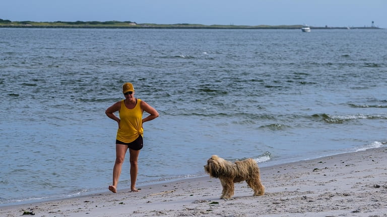Tonie Germie and her dog Otto stroll along the water on the beach...