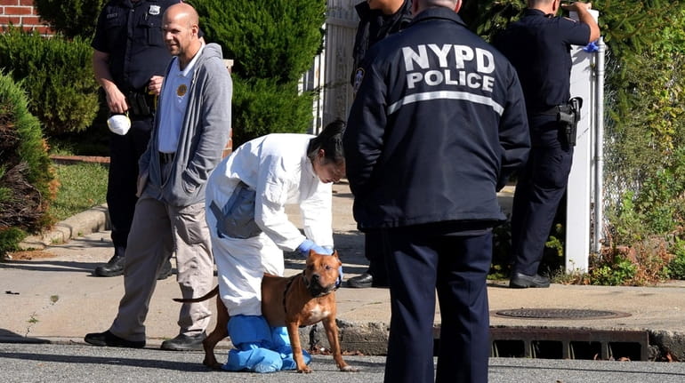 The NYPD served a search warrant in Uniondale on Oct. 10,...
