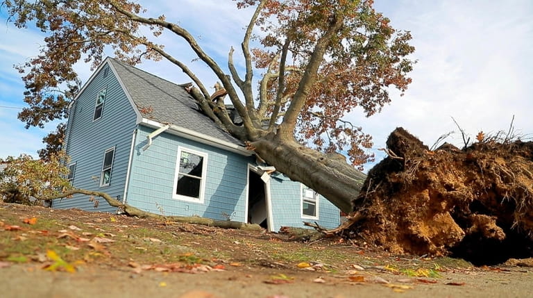 A tree sits on a home at Clover Lane and...