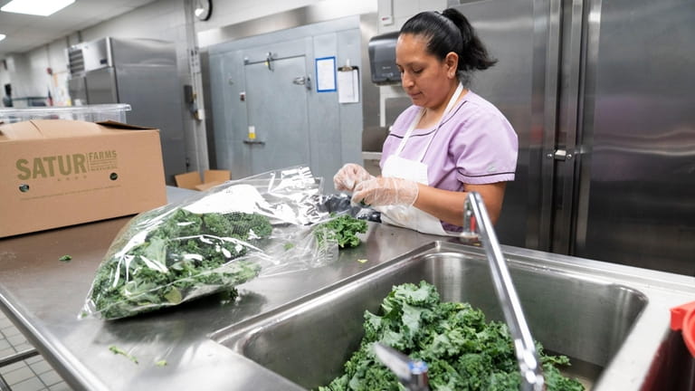 A cafeteria worker cleans fresh kale at Southampton High School...