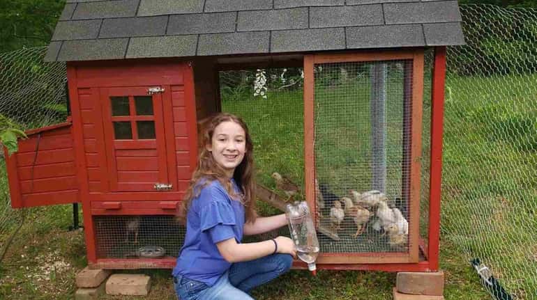 Kidsday reporter Mariana Figueroa of West Babylon with her chickens.