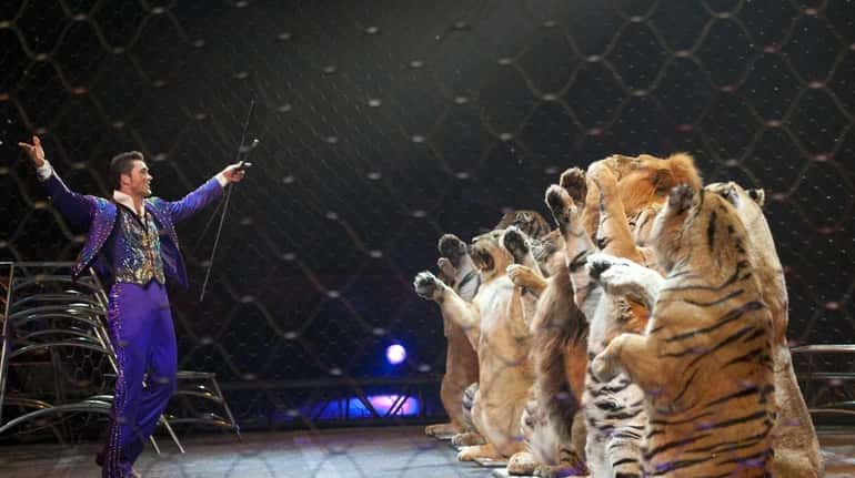 Alexander Lacey and his tigers were featured at Ringling Bros....