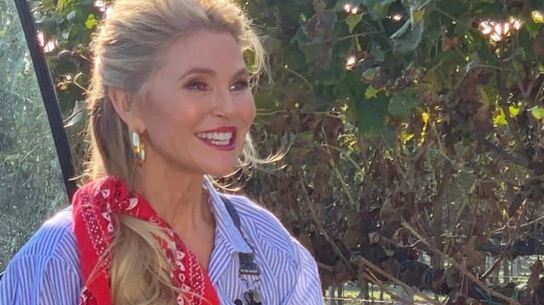 Christie Brinkley is helping to raise funds to buy medical...