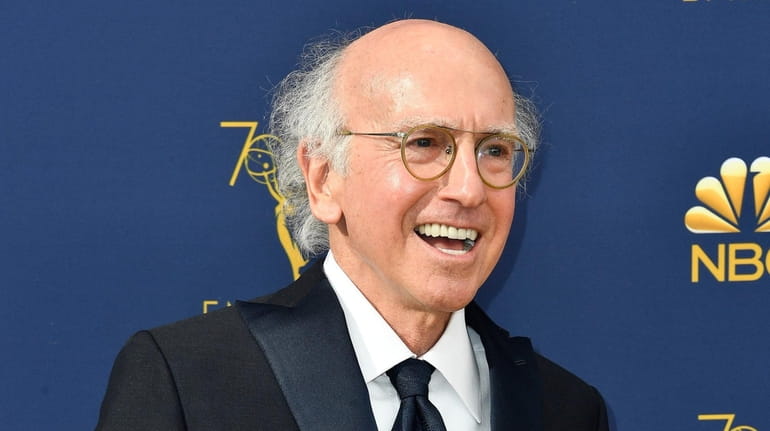 Larry David met his new wife at a birthday party...