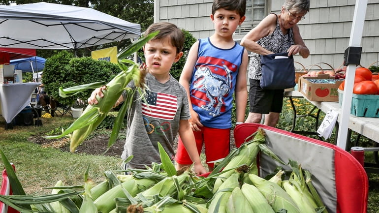 Tanner Smith, 5, of Connecticut, front, and his brother, Cameron,...