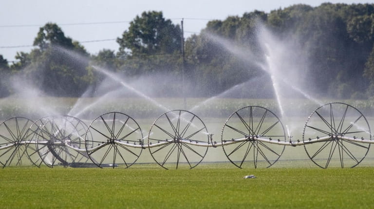 A recent study concluded that water consumption in Southold Town,...