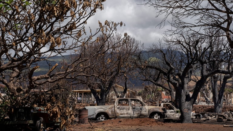 Charred trees and burned cars are pictured on Malo Street,...