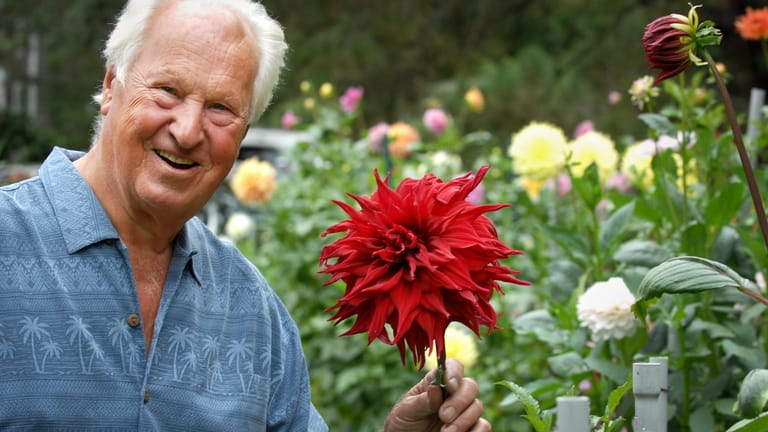 Wolkoff shows off a dahlia called "Dr Les" during a picnic...