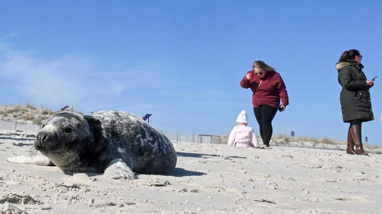 Beachgoers at Smith Point County Park's beach flock to a...