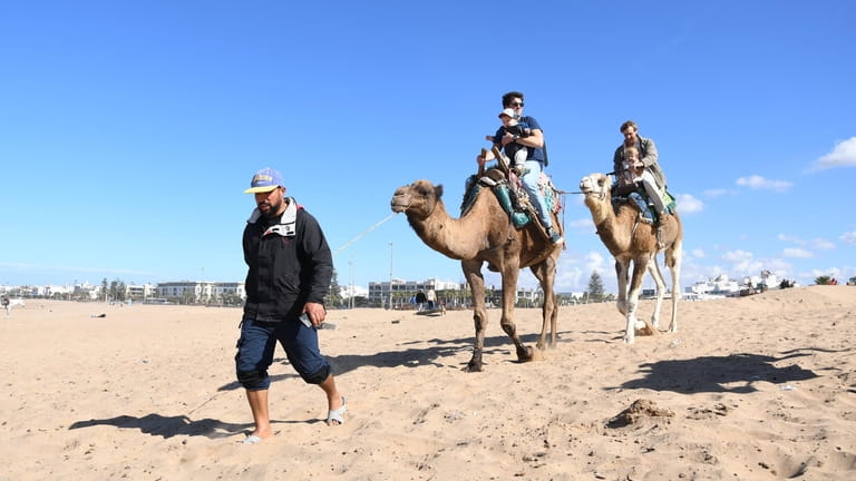Tourists ride camels on a beach in Essaouira, western Morocco.