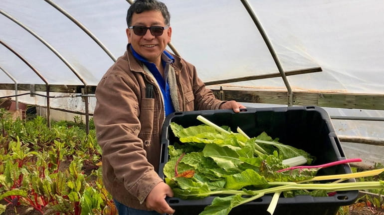 Vincent Lopez is the owner of 4E Green Farm in...