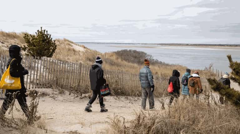 People attend an educational seal walk at Cupsogue Beach County...
