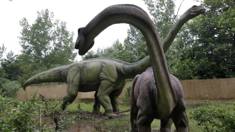 An apatosaurus display at Field Station, home to 31 life-sized...