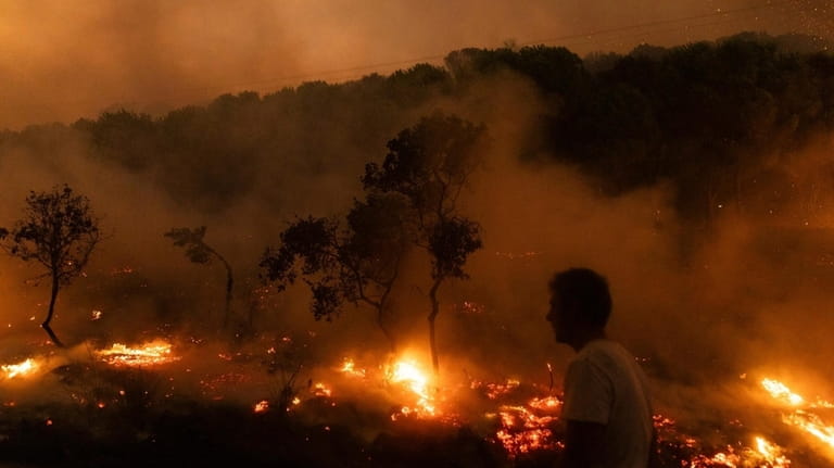 A wildfire burns in the village of Dikela, near Alexandroupolis...