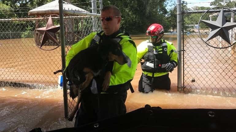 NYPD officers cradle a dog removed from a flooded house...