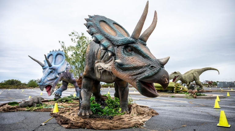 Triceratops at the Jurassic Quest drive-through experience in Lido Beach...