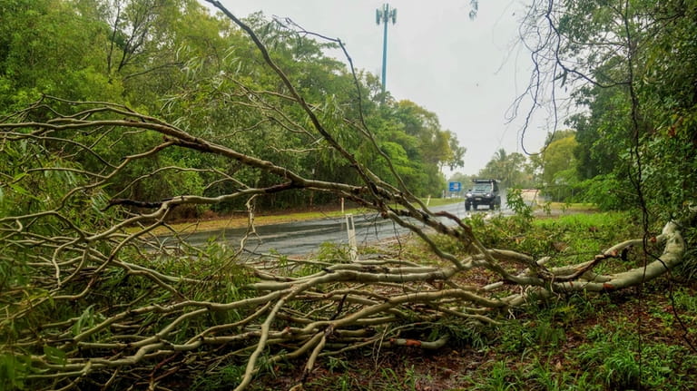 Fallen trees are seen in a suburb in Cairns, Australia,...