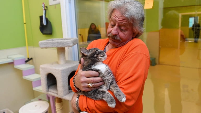 David Bernacchi, founder of the Pets4Luv Foundation, holds Sampson at...