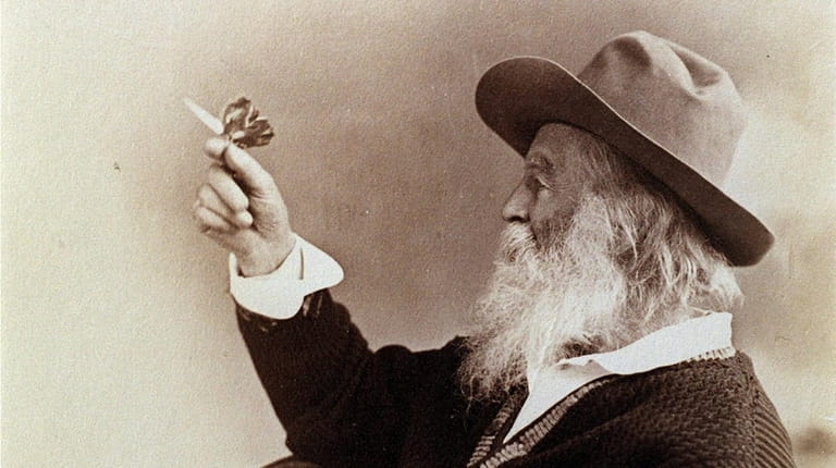 One of Walt Whitman's favorite photos has him holding a...