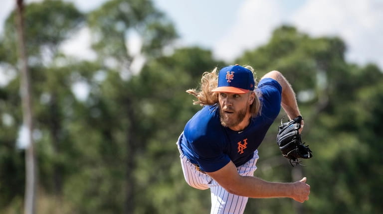 New York Mets pitcher Noah Syndergaard throws a live batting...